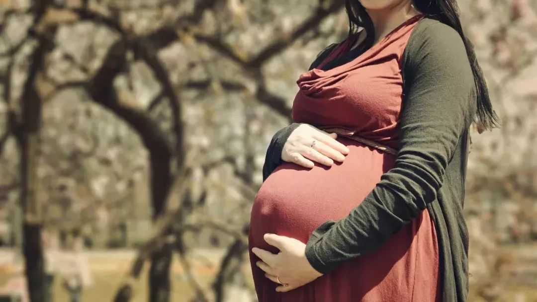 代生温州代怀孕多少钱,2022年生育险新规