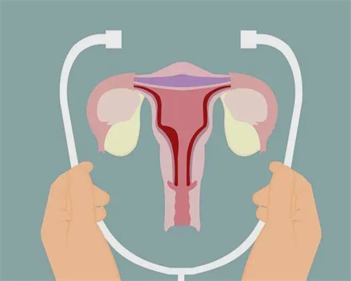 供卵自怀三胎：卵巢储藏功用减退的诊治战略，称为卵巢储藏功用减退(DOR