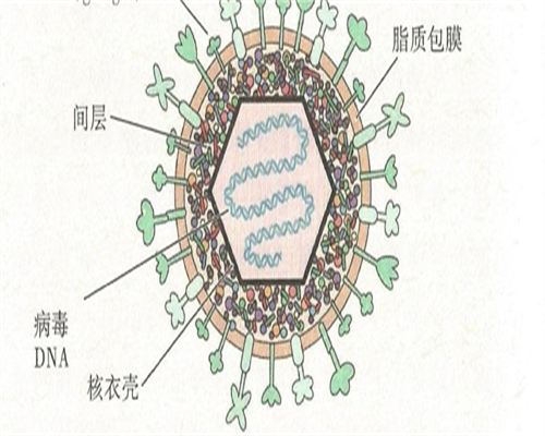 胎停检查免疫和凝血都有哪些项目