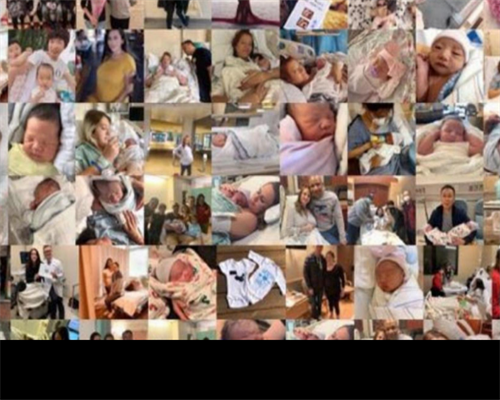 温州失独家庭助孕服务