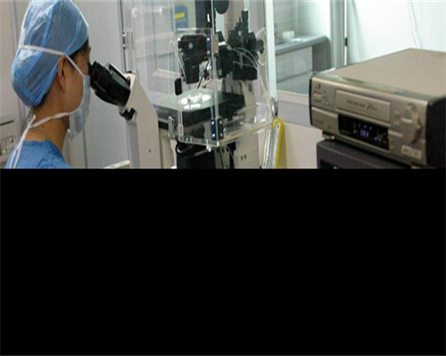 温州试管助孕交流：警惕微信群风险，选择正规助孕服务